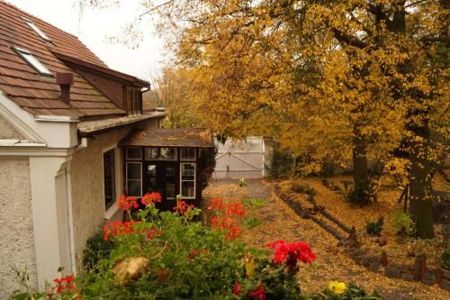 Outdoor Pictures 23