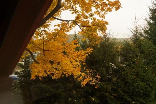 Outdoor Pictures 24