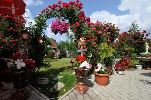 Outdoor Pictures 23
