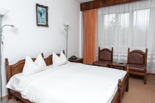 Hotel Petroshani srl