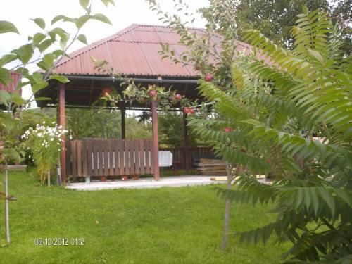 Outdoor Pictures 19