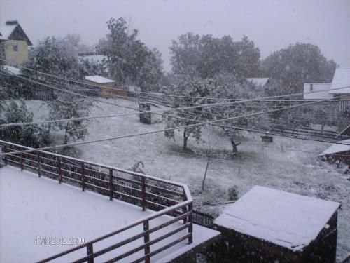 Outdoor Pictures 20