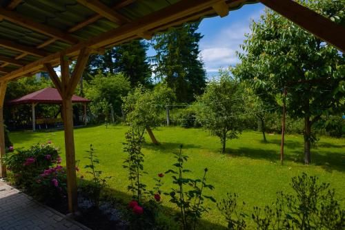 Outdoor Pictures 10