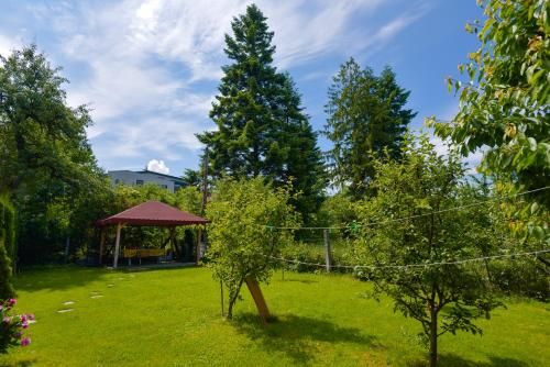 Outdoor Pictures 11