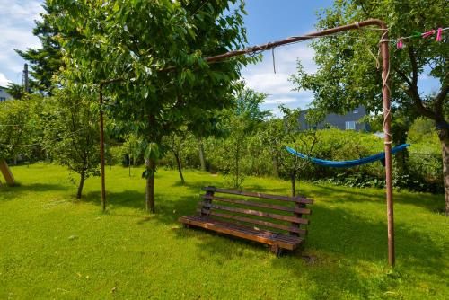 Outdoor Pictures 12