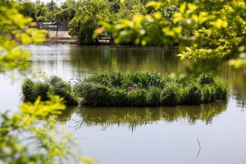 Outdoor Pictures 22