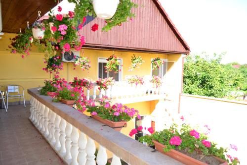 Outdoor Pictures 23