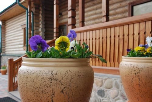 Outdoor Pictures 22