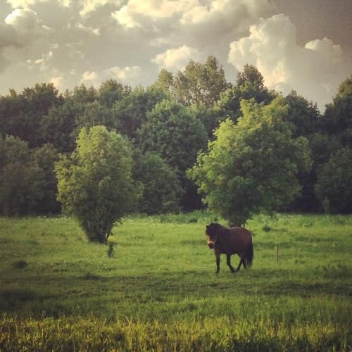 Outdoor Pictures 21