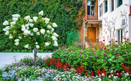 Outdoor Pictures 21
