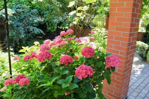 Outdoor Pictures 22