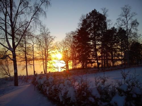 Outdoor Pictures 13