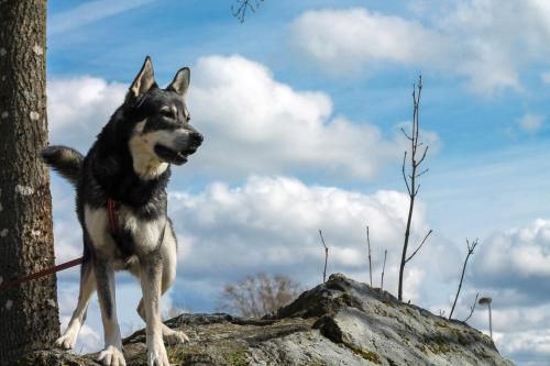 Outdoor Pictures 22
