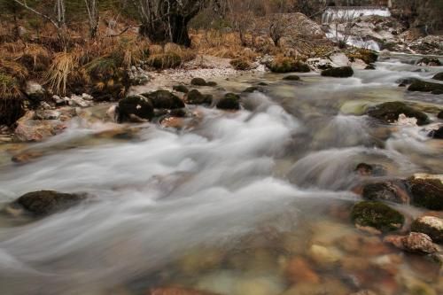 Outdoor Pictures 20