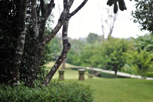 Outdoor Pictures 19