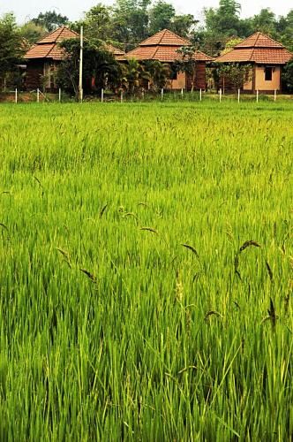 Outdoor Pictures 21