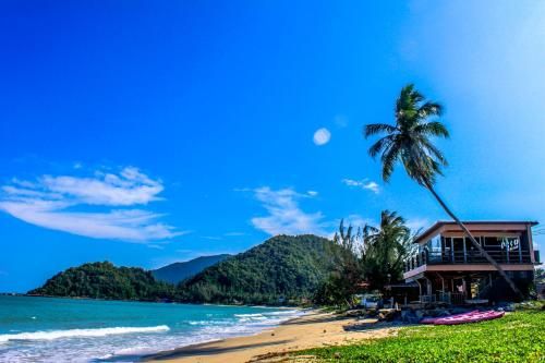 Outdoor Pictures 23