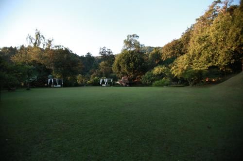 Outdoor Pictures 16