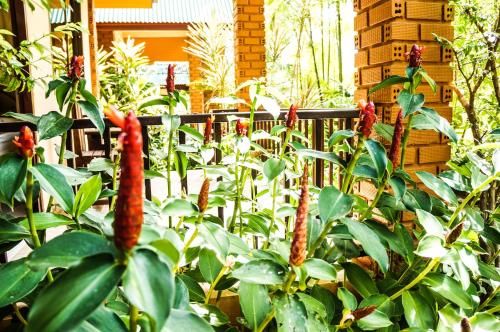 Outdoor Pictures 20