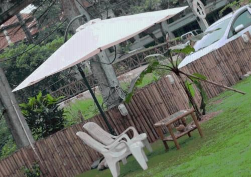 Outdoor Pictures 2