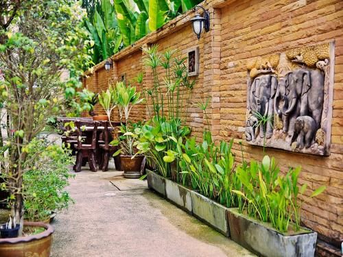 Outdoor Pictures 22