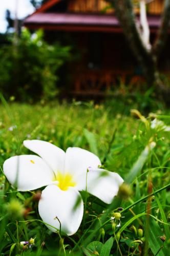 Outdoor Pictures 19