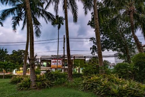 Outdoor Pictures 21