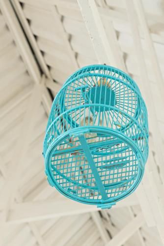 Outdoor Pictures 8