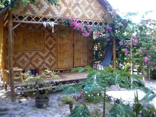 Outdoor Pictures 11