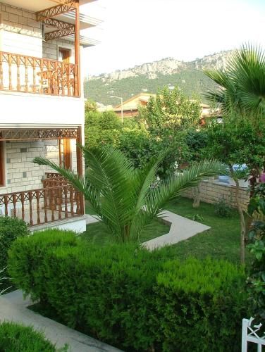 Outdoor Pictures 24