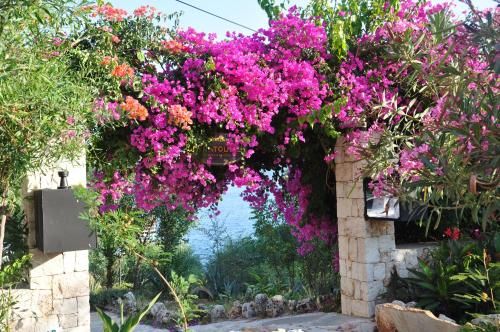Outdoor Pictures 20