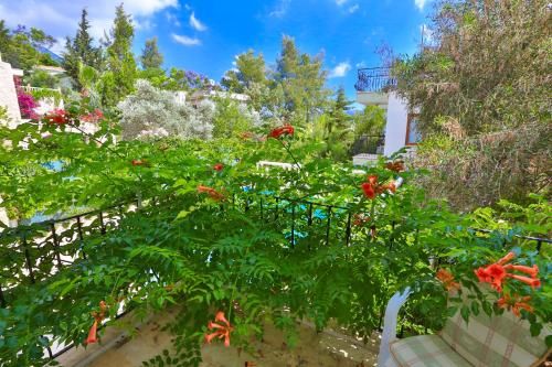 Outdoor Pictures 20