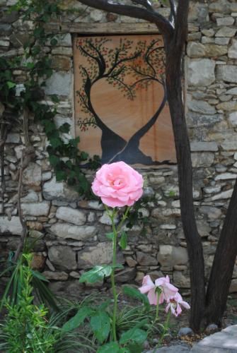 Outdoor Pictures 23