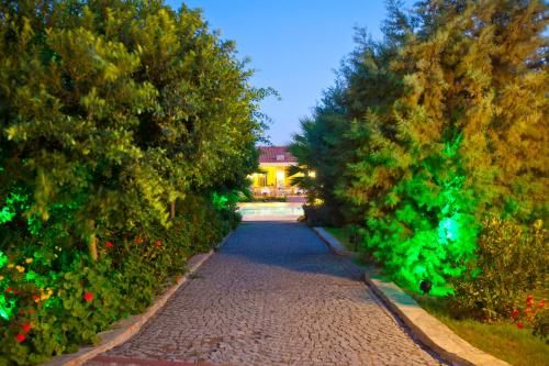 Outdoor Pictures 21