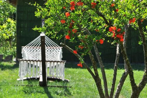Outdoor Pictures 20