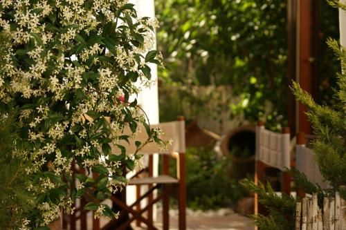 Outdoor Pictures 24