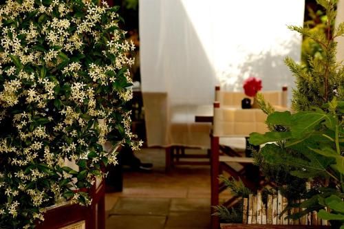 Outdoor Pictures 21