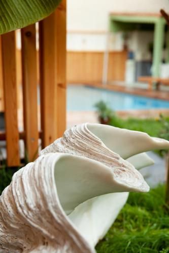 Outdoor Pictures 5