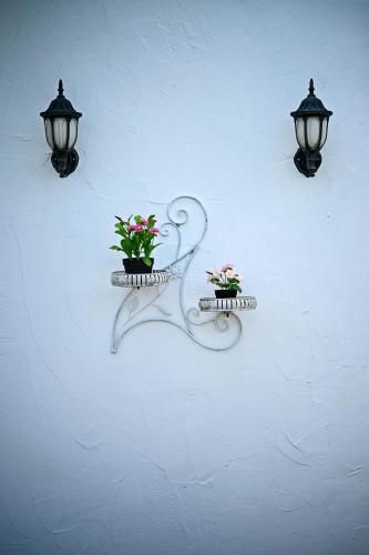Outdoor Pictures 12