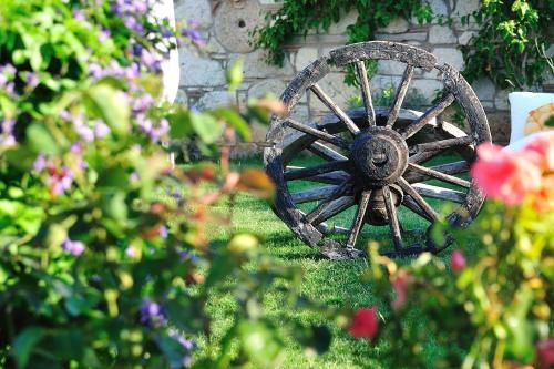 Outdoor Pictures 22