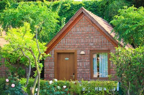 Outdoor Pictures 23
