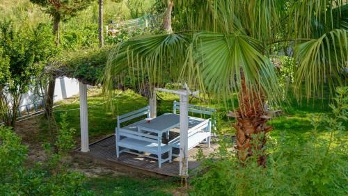 Outdoor Pictures 20