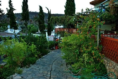 Outdoor Pictures 18