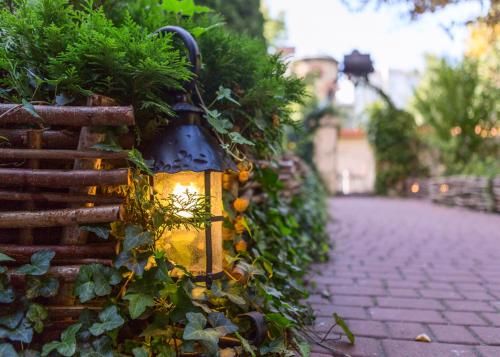 Outdoor Pictures 22