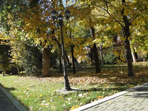 Outdoor Pictures 18