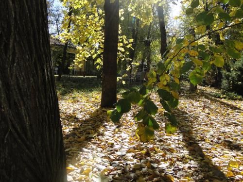 Outdoor Pictures 17