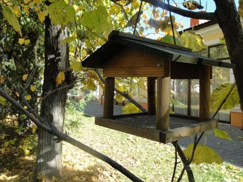 Outdoor Pictures 1