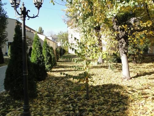 Outdoor Pictures 15