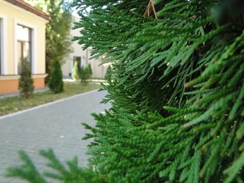 Outdoor Pictures 22