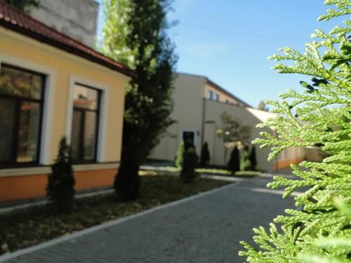 Outdoor Pictures 24